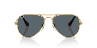 Ray-Ban RB3925 AVIATOR MAX 001/R5 62