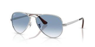 Ray-Ban RB3925 AVIATOR MAX 003/3F 58