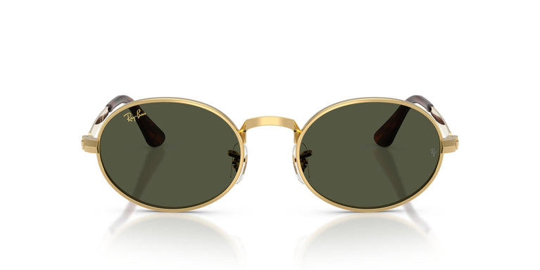 Ray-Ban RB3931 001/31 54
