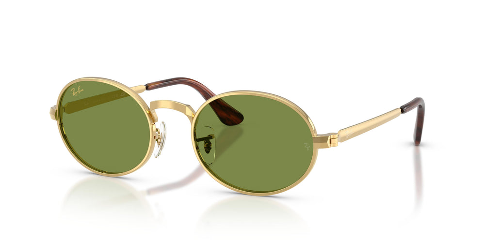 Ray-Ban RB3931 001/4E 54