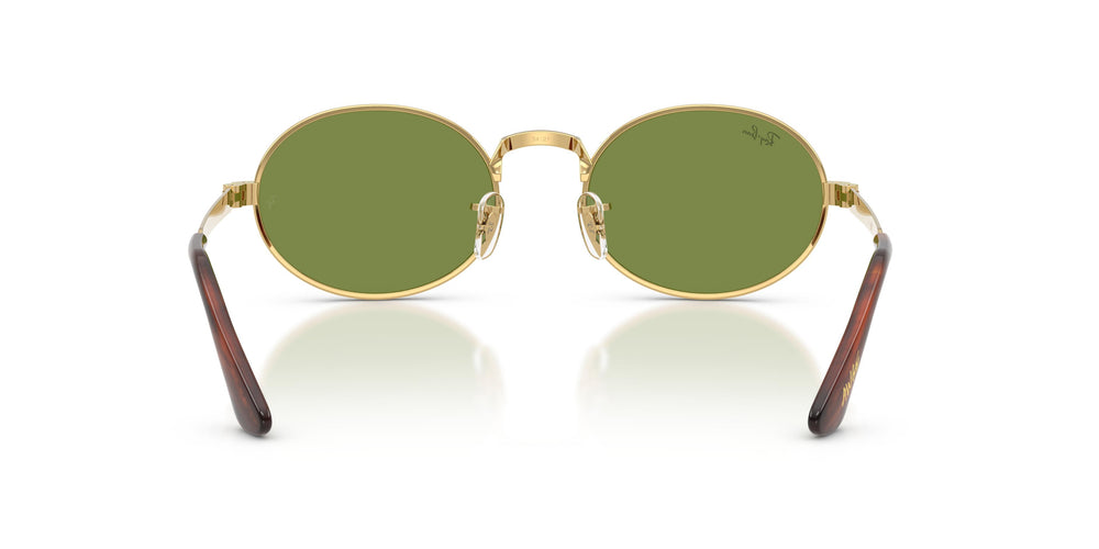 Ray-Ban RB3931 001/4E 54