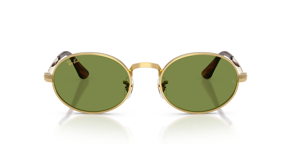 Ray-Ban RB3931 001/4E 54