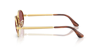 Ray-Ban RB3931 001/AF 54