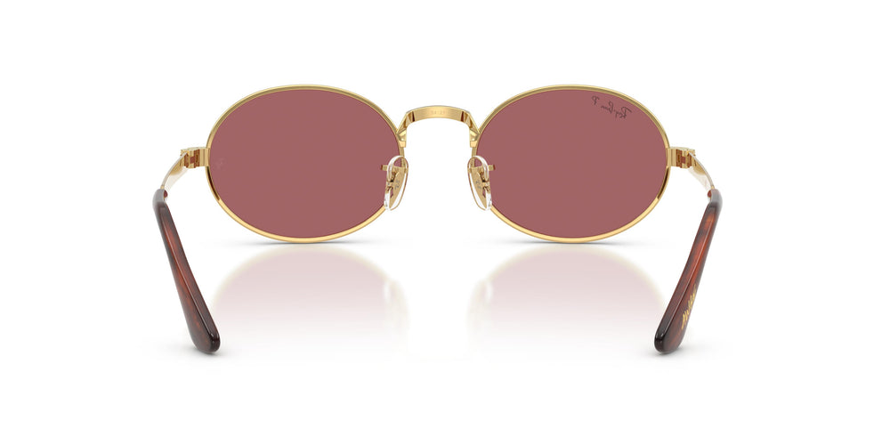 Ray-Ban RB3931 001/AF 54