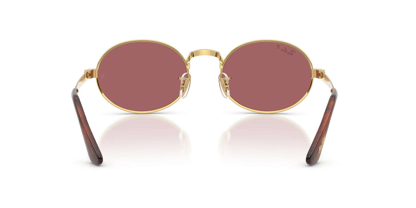 Ray-Ban RB3931 001/AF 54