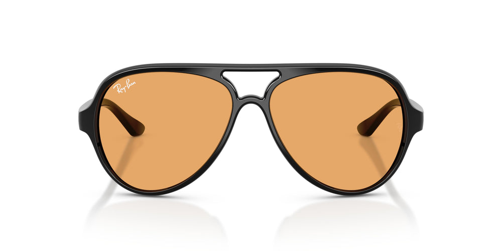 Ray-Ban RB4125 CATS 5000 601/33 59