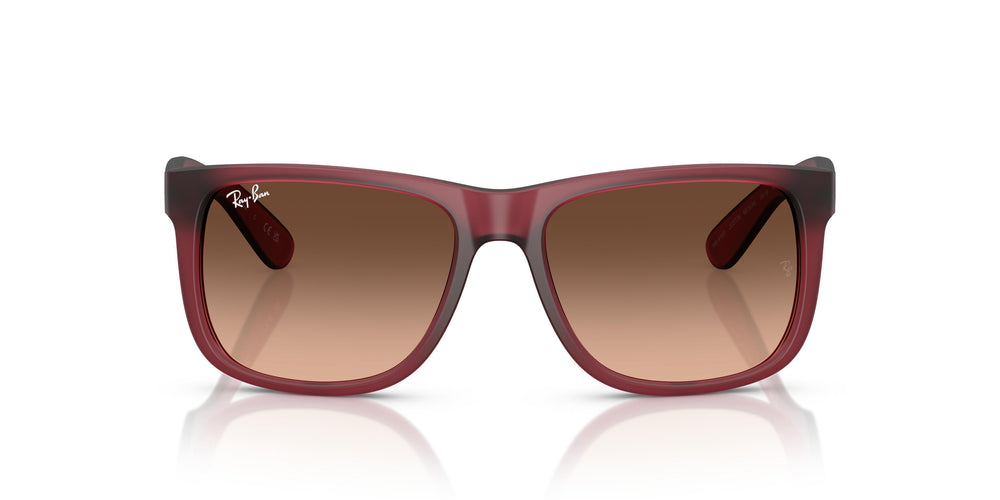 Ray-Ban RB4165 JUSTIN 6815A5 54