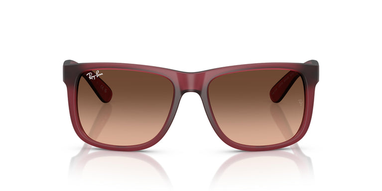 Ray-Ban RB4165 JUSTIN 6815A5 54