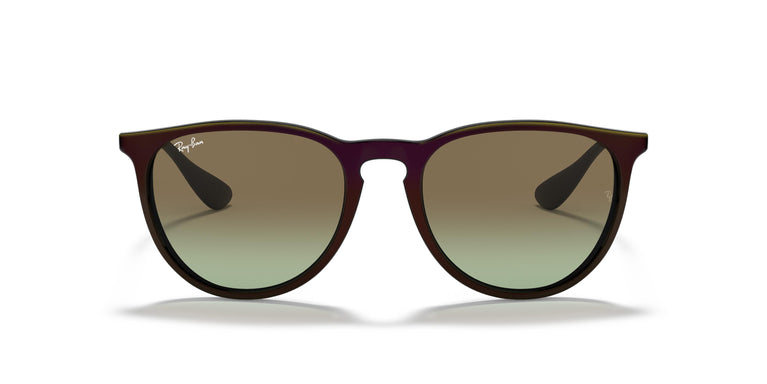 Ray-Ban RB4171 ERIKA 6316E8 54