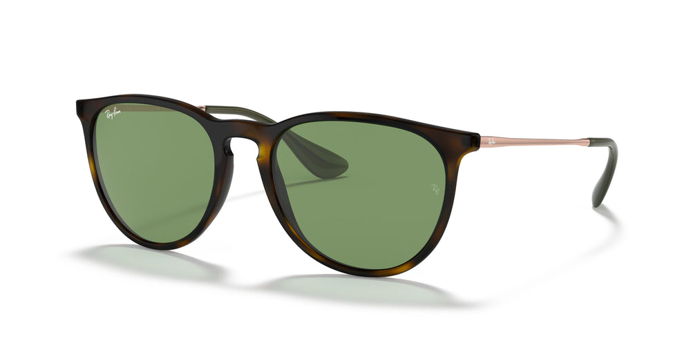 Ray-Ban RB4171 ERIKA 6393/2 54