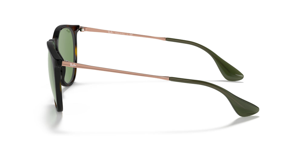 Ray-Ban RB4171 ERIKA 6393/2 54