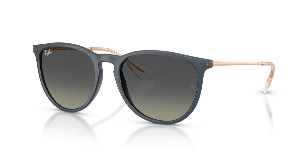 Ray-Ban RB4171 ERIKA 681311 54