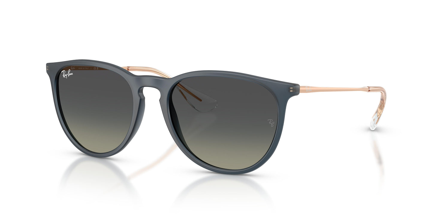 Ray-Ban RB4171 ERIKA 681311 54