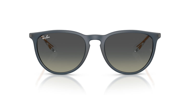 Ray-Ban RB4171 ERIKA 681311 54