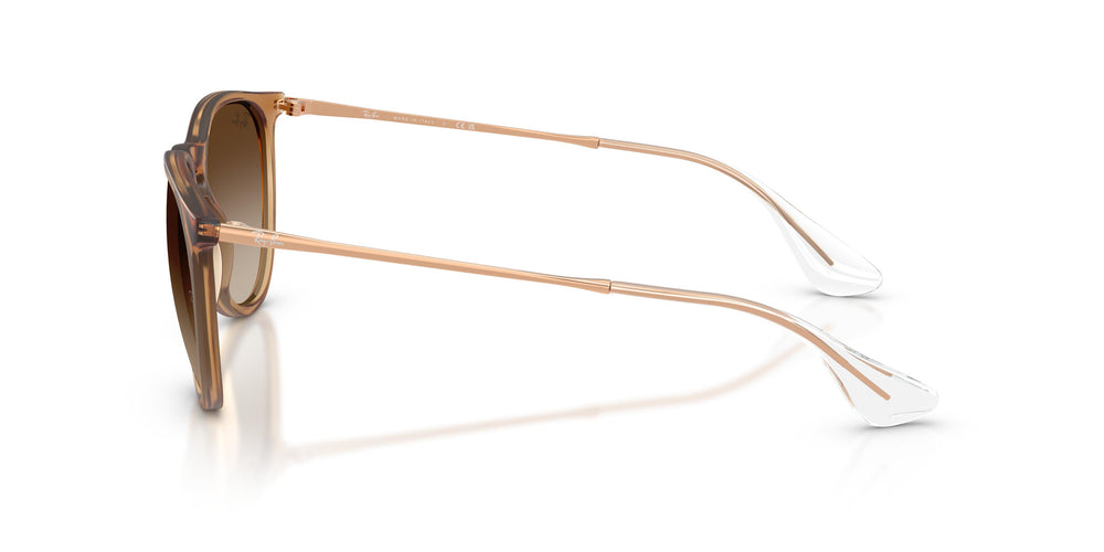 Ray-Ban RB4171 ERIKA 681413 54