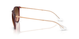 Ray-Ban RB4171 ERIKA 6815A5 54