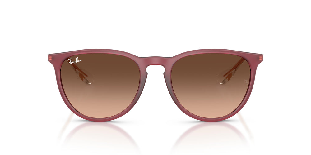 Ray-Ban RB4171 ERIKA 6815A5 54