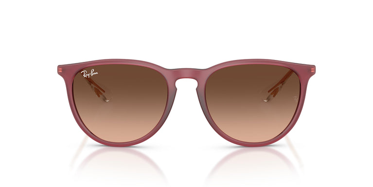Ray-Ban RB4171 ERIKA 6815A5 54