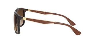 Ray-Ban RB4313 894/13 58