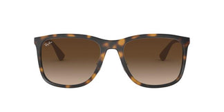 Ray-Ban RB4313 894/13 58
