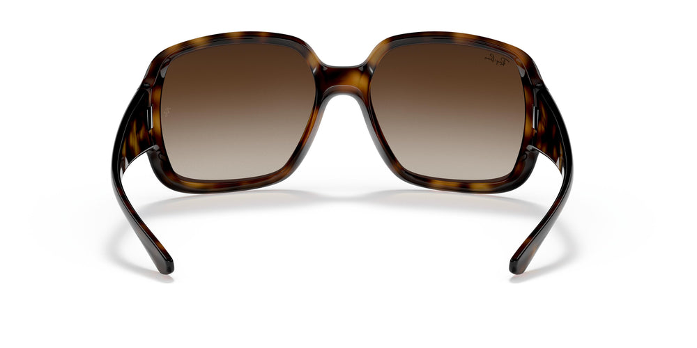 Ray-Ban RB4347 POWDERHORN 710/13 60