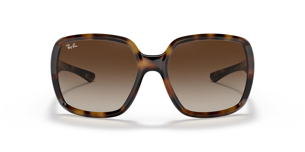 Ray-Ban RB4347 POWDERHORN 710/13 60