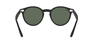 Ray-Ban RB4380N BLAZE PANTHOS 601S71