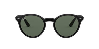 Ray-Ban RB4380N BLAZE PANTHOS 601S71