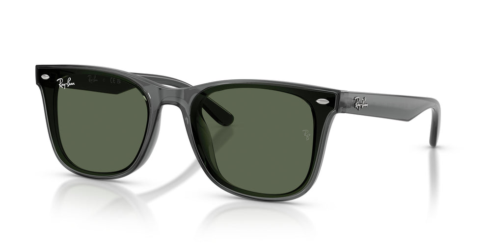 Ray-Ban RB4420 691971 65
