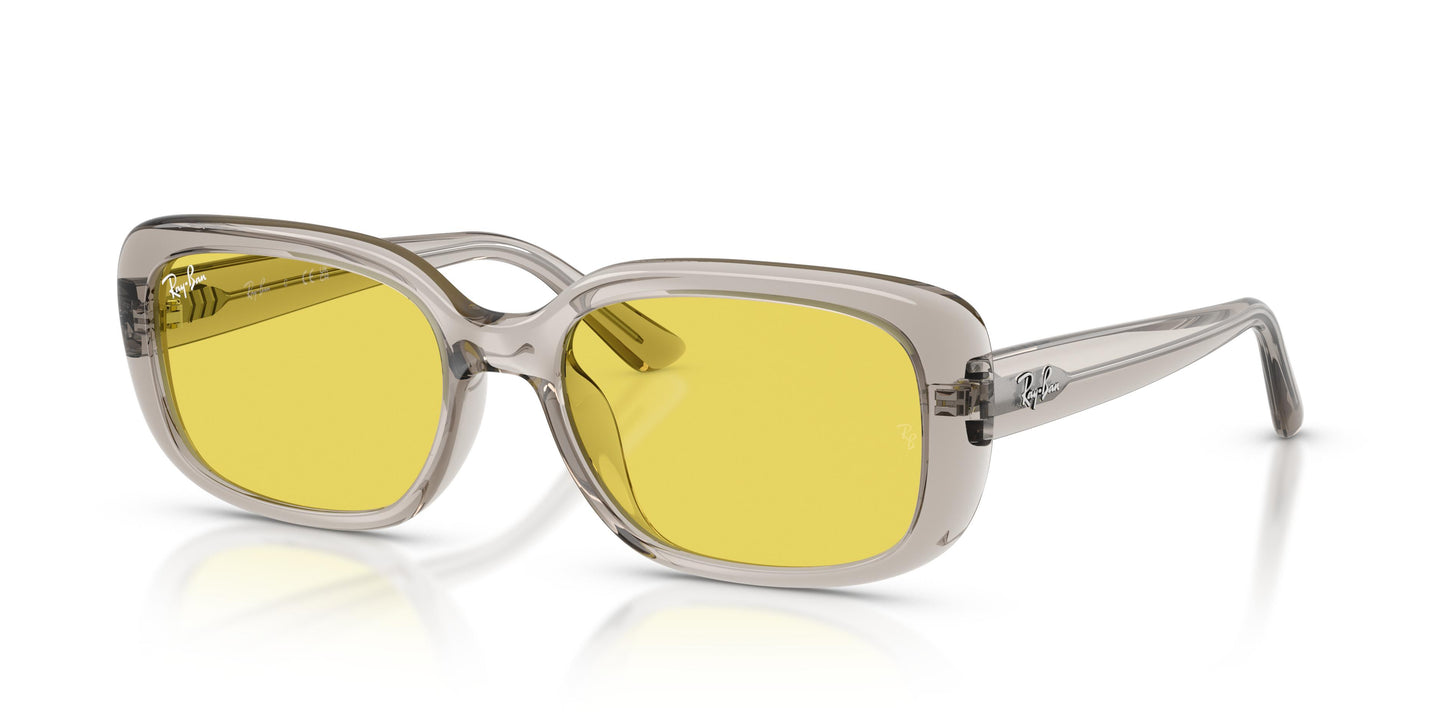 Ray-Ban RB4421D 681885 56