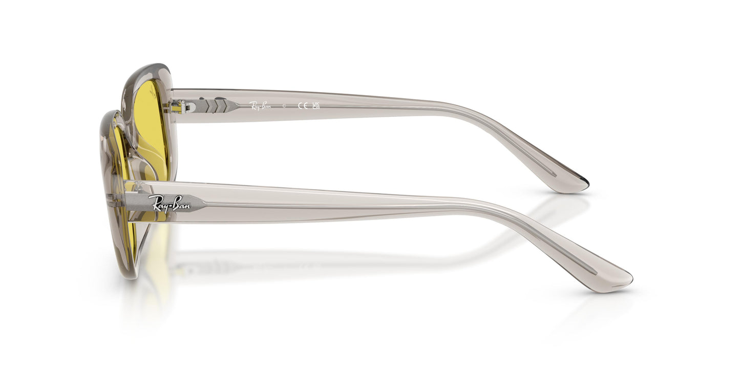 Ray-Ban RB4421D 681885 56