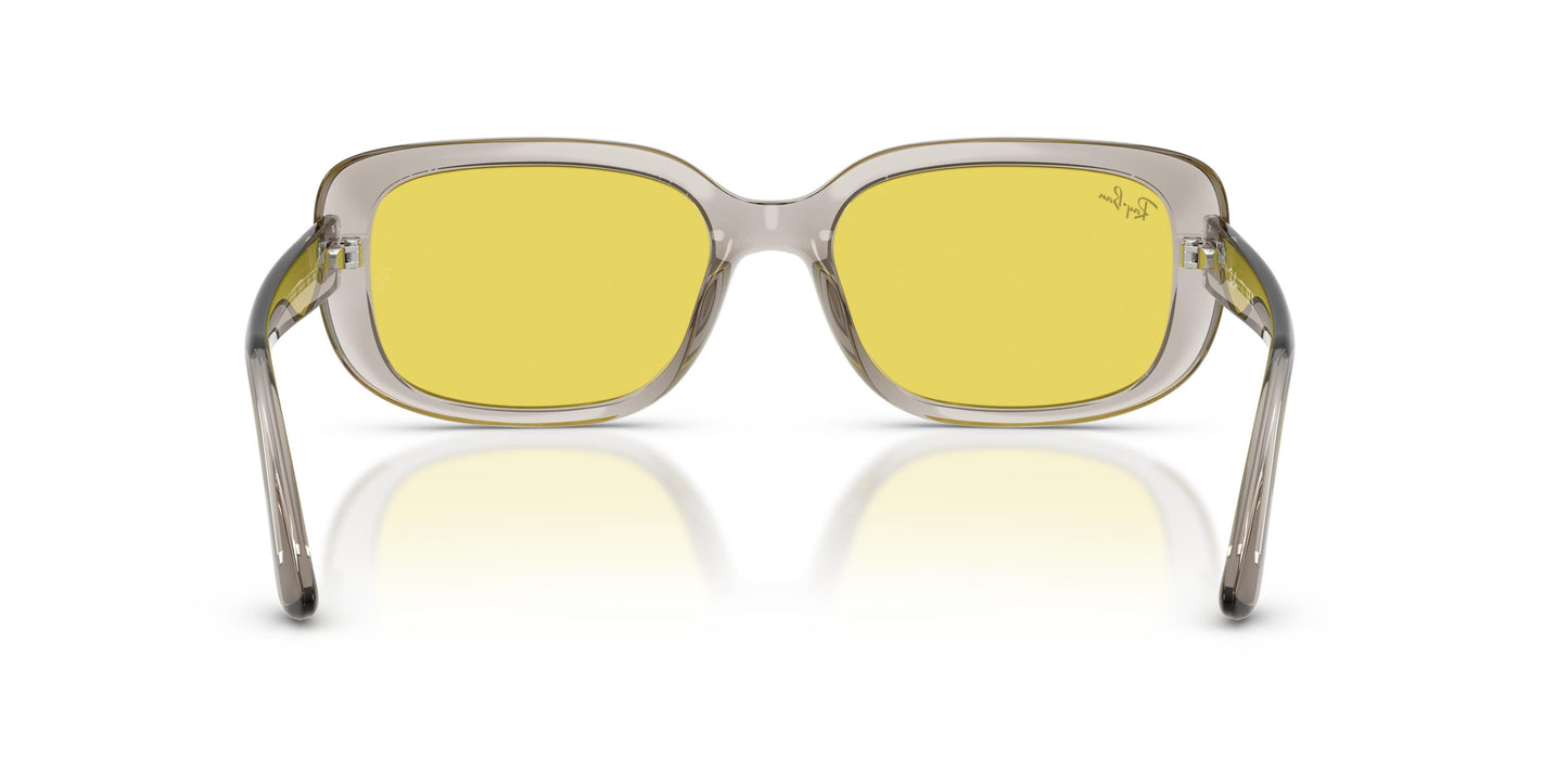 Ray-Ban RB4421D 681885 56