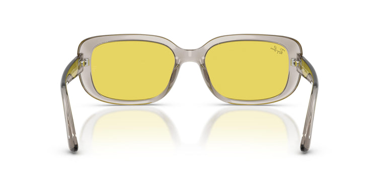Ray-Ban RB4421D 681885 56