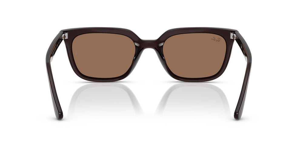 Ray-Ban RB4439D 623173 54