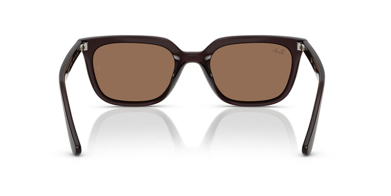 Ray-Ban RB4439D 623173 54