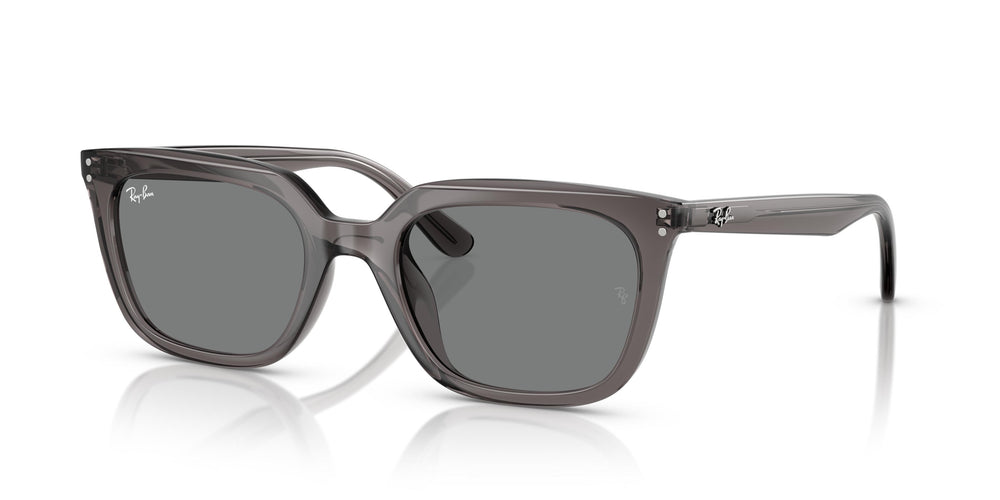 Ray-Ban RB4439D 667587 54