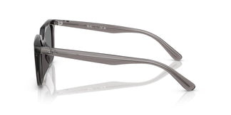 Ray-Ban RB4439D 667587 54
