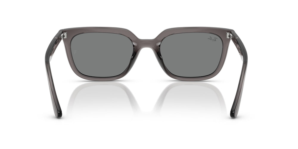 Ray-Ban RB4439D 667587 54