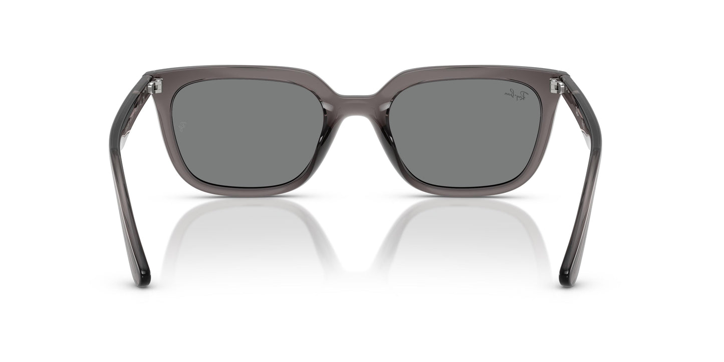Ray-Ban RB4439D 667587 54