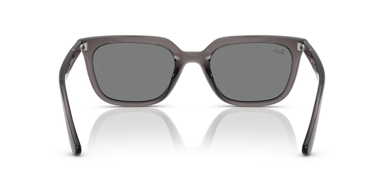 Ray-Ban RB4439D 667587 54