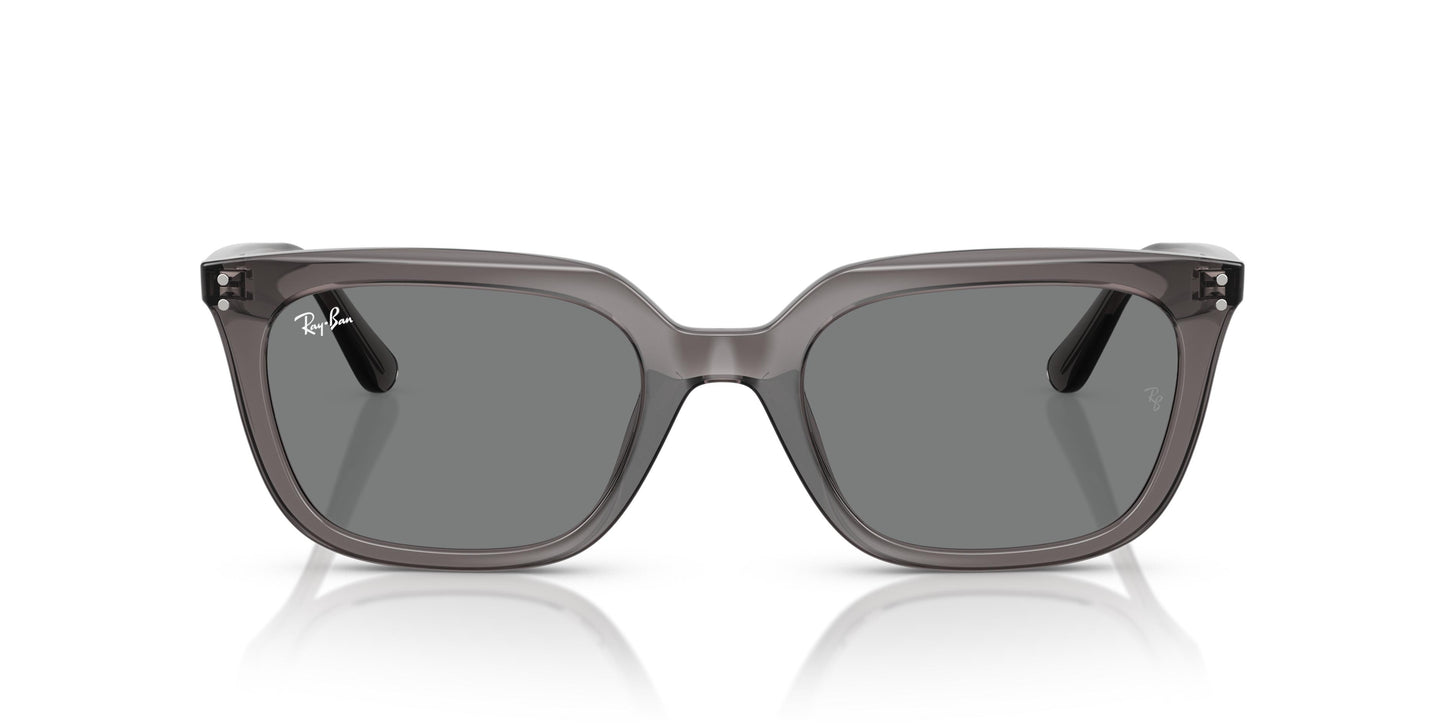 Ray-Ban RB4439D 667587 54