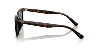 Ray-Ban RB4439D 710/87 54
