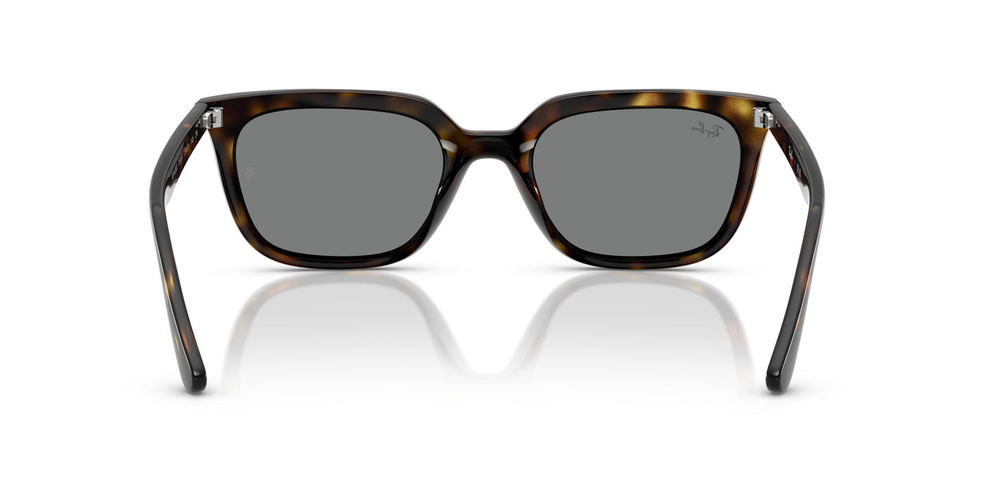 Ray-Ban RB4439D 710/87 54