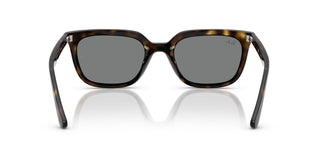 Ray-Ban RB4439D 710/87 54