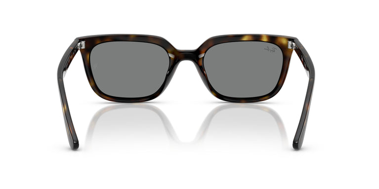 Ray-Ban RB4439D 710/87 54
