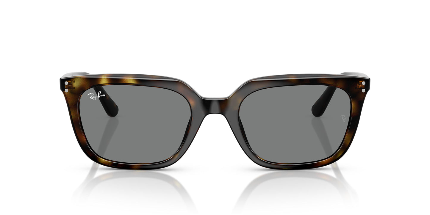 Ray-Ban RB4439D 710/87 54