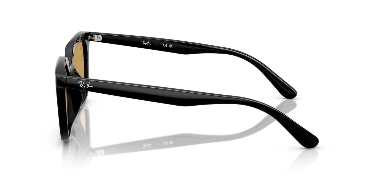 Ray-Ban RB4439D 901/73 54