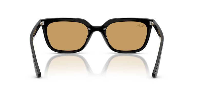Ray-Ban RB4439D 901/73 54