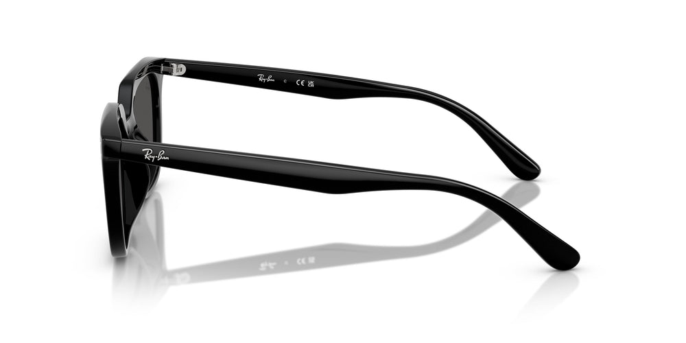 Ray-Ban RB4439D 901/87 54