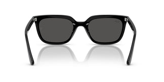 Ray-Ban RB4439D 901/87 54
